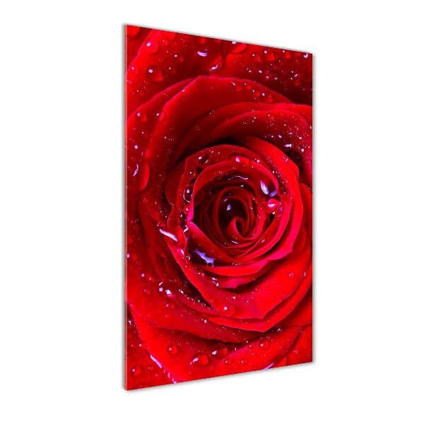 Modernes Acrylbild vertikal Rote Rose