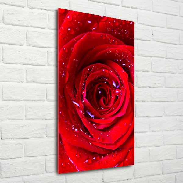 Modernes Acrylbild vertikal Rote Rose