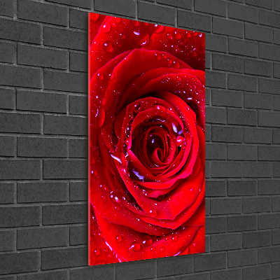 Modernes Acrylbild vertikal Rote Rose