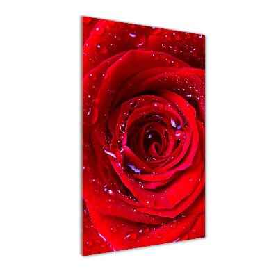 Modernes Acrylbild vertikal Rote Rose