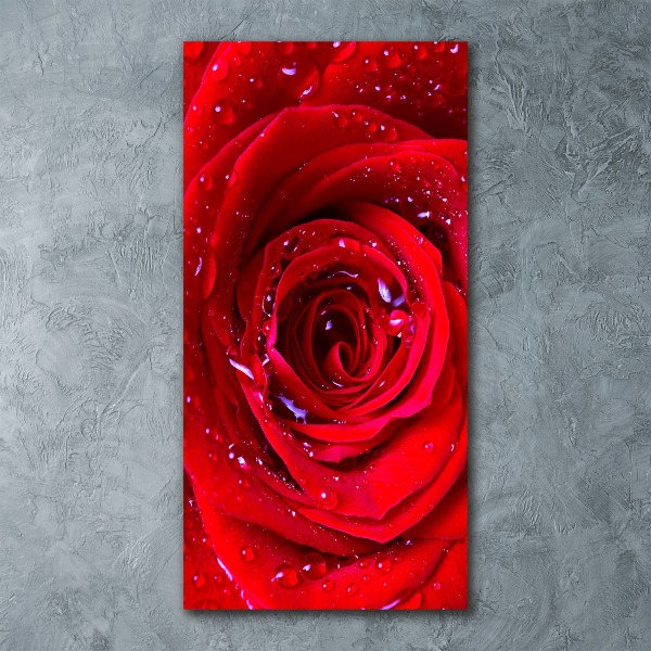 Modernes Acrylbild vertikal Rote Rose