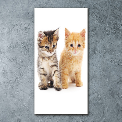 Bild auf Acrylglas vertikal Graue und rote Katze