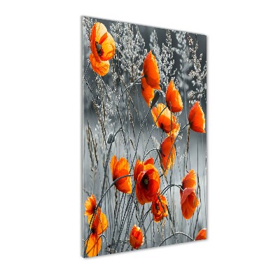 Plexiglasbilder vertikal Wildmohn