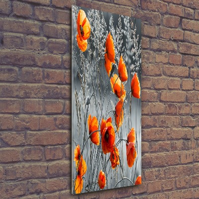 Plexiglasbilder vertikal Wildmohn