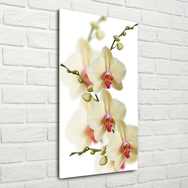 Acrylbild vertikal Orchidee