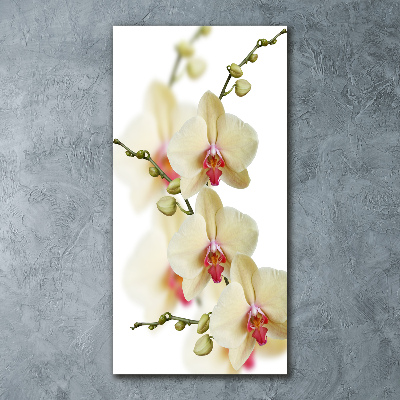 Acrylbild vertikal Orchidee