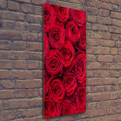 Bild auf Acrylglas vertikal Rote Rose