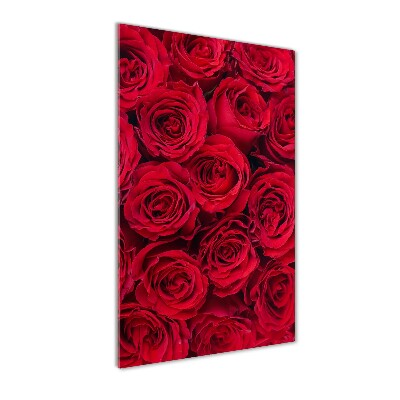 Bild auf Acrylglas vertikal Rote Rose