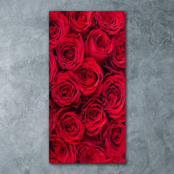 Bild auf Acrylglas vertikal Rote Rose