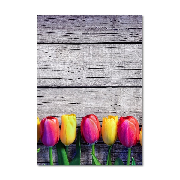 Plexiglasbilder vertikal Bunte Tulpen