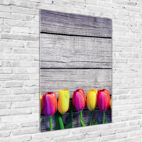 Plexiglasbilder vertikal Bunte Tulpen