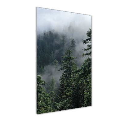 Bild auf Acrylglas vertikal Nebel über dem Wald