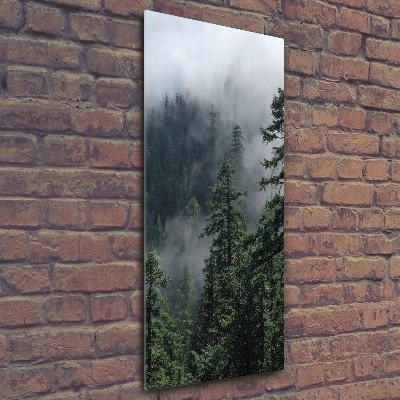 Bild auf Acrylglas vertikal Nebel über dem Wald