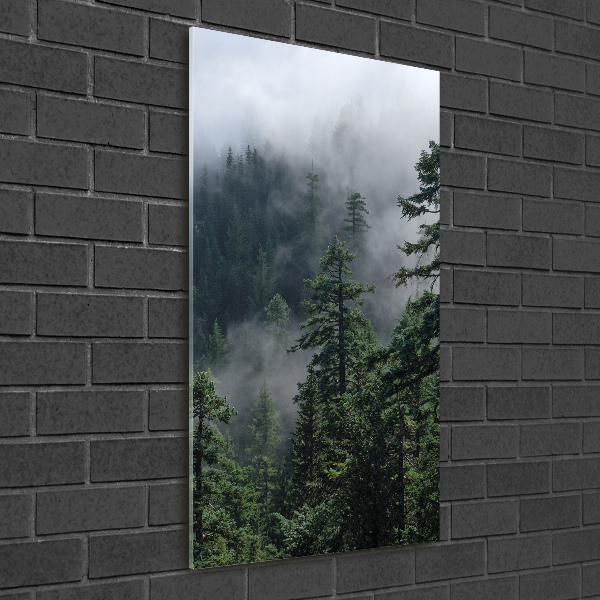 Bild auf Acrylglas vertikal Nebel über dem Wald
