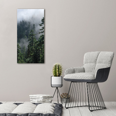 Bild auf Acrylglas vertikal Nebel über dem Wald