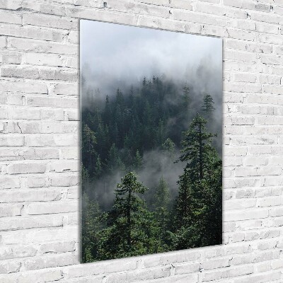 Bild auf Acrylglas vertikal Nebel über dem Wald