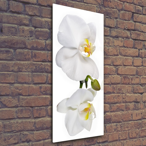 Modernes Acrylbild vertikal Weiße Orchidee