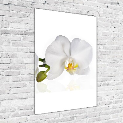 Modernes Acrylbild vertikal Weiße Orchidee