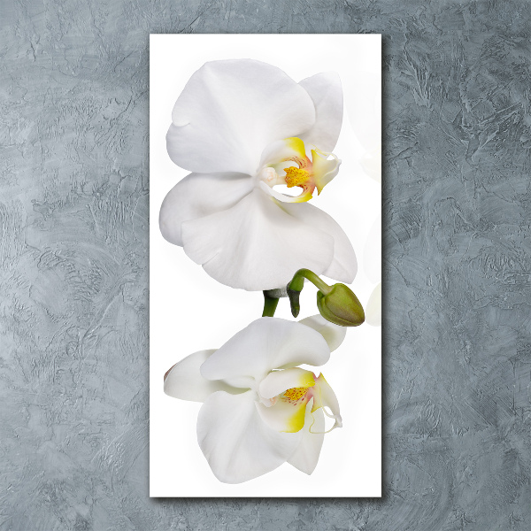 Modernes Acrylbild vertikal Weiße Orchidee