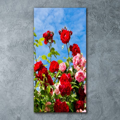 Plexiglasbilder vertikal Dornen