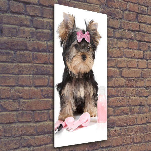 Modernes Acrylbild vertikal Yorkshire Kosmetik