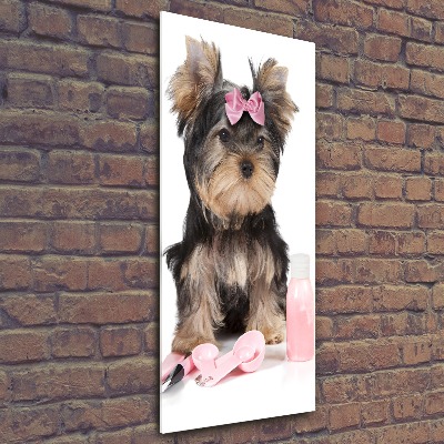 Modernes Acrylbild vertikal Yorkshire Kosmetik