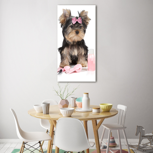 Modernes Acrylbild vertikal Yorkshire Kosmetik