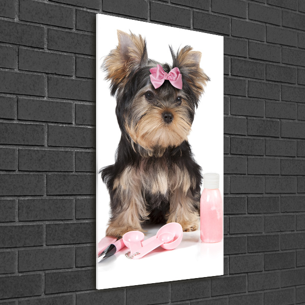 Modernes Acrylbild vertikal Yorkshire Kosmetik