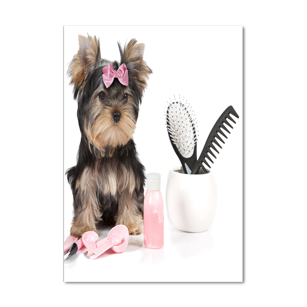 Modernes Acrylbild vertikal Yorkshire Kosmetik