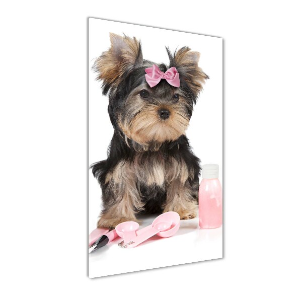 Modernes Acrylbild vertikal Yorkshire Kosmetik