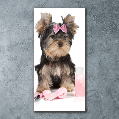 Modernes Acrylbild vertikal Yorkshire Kosmetik