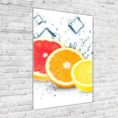 Bild auf Acrylglas vertikal Zitrusfrüchte