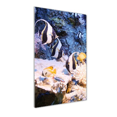 Plexiglasbilder vertikal Korallenriff