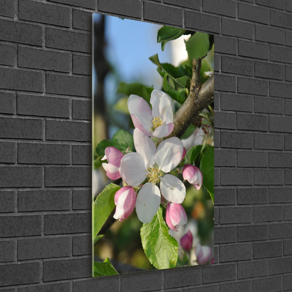 Plexiglasbilder vertikal Kirschblüten