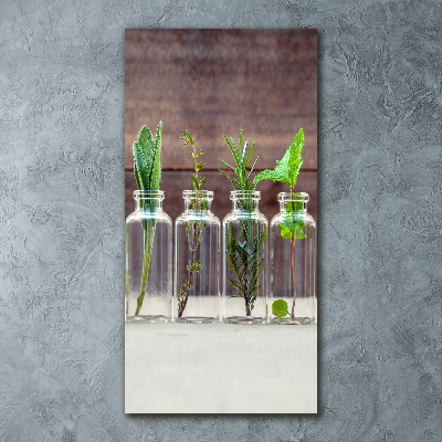 Acrylbild vertikal Kräuter im Glas