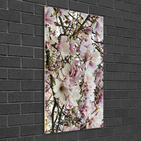 Bild auf Acrylglas vertikal Magnolienblüten