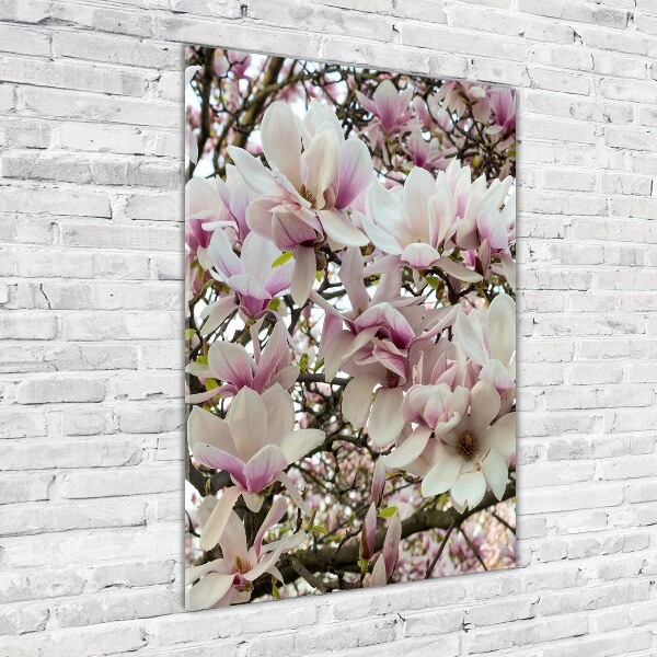 Bild auf Acrylglas vertikal Magnolienblüten