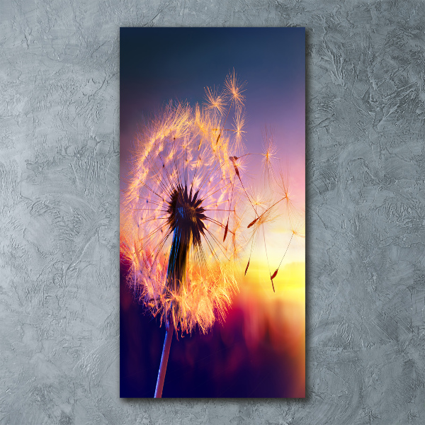 Plexiglasbilder vertikal Löwenzahn