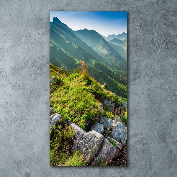 Plexiglasbilder vertikal Berge im Sommer