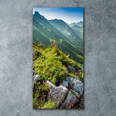 Plexiglasbilder vertikal Berge im Sommer