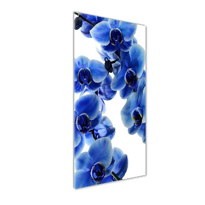 Plexiglasbilder vertikal Blaue Orchidee