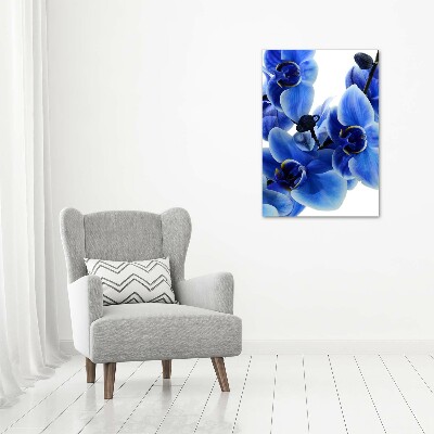 Plexiglasbilder vertikal Blaue Orchidee