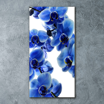 Plexiglasbilder vertikal Blaue Orchidee