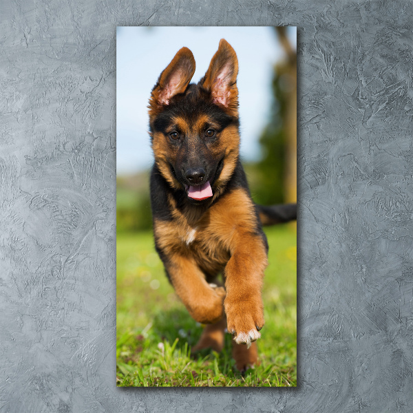 Acrylbild vertikal Deutscher Schäferhund