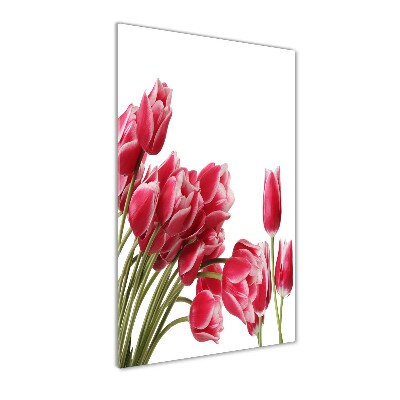Plexiglasbilder vertikal Rote Tulpen