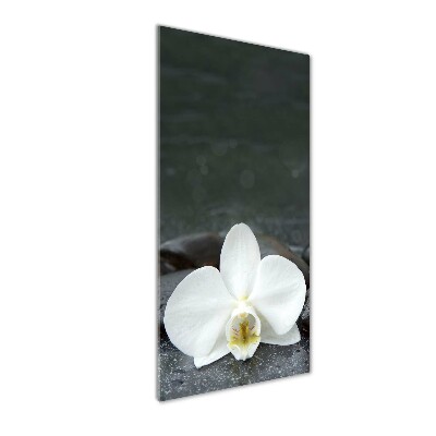 Plexiglasbilder vertikal Orchideensteine