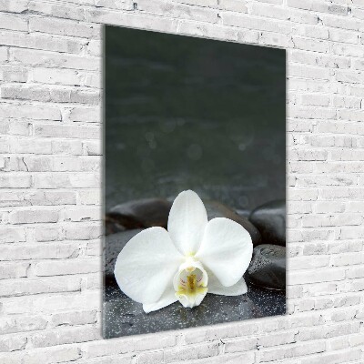 Plexiglasbilder vertikal Orchideensteine