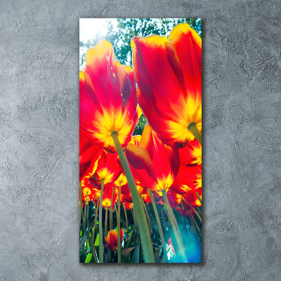 Modernes Acrylbild vertikal Rote Tulpen