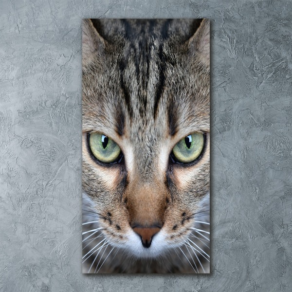 Modernes Acrylbild vertikal Katzenaugen