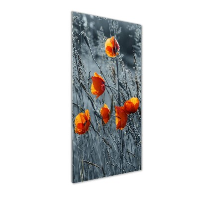 Bild auf Acrylglas vertikal Wildmohn